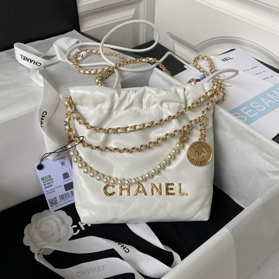 Chanle 22 Backpack Mini