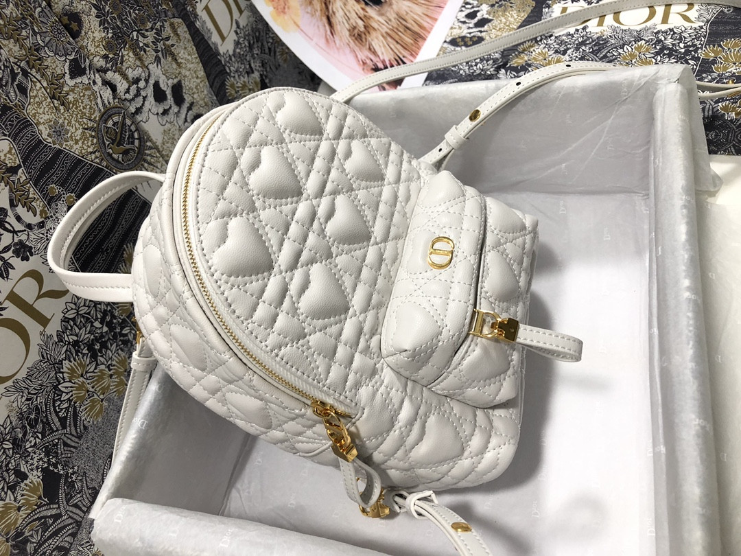 Dior Backpack