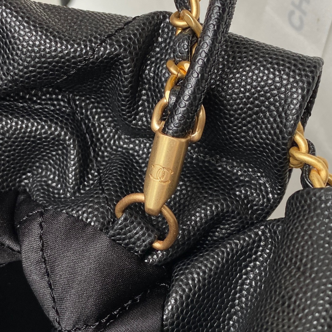Chanle 22 Backpack Mini