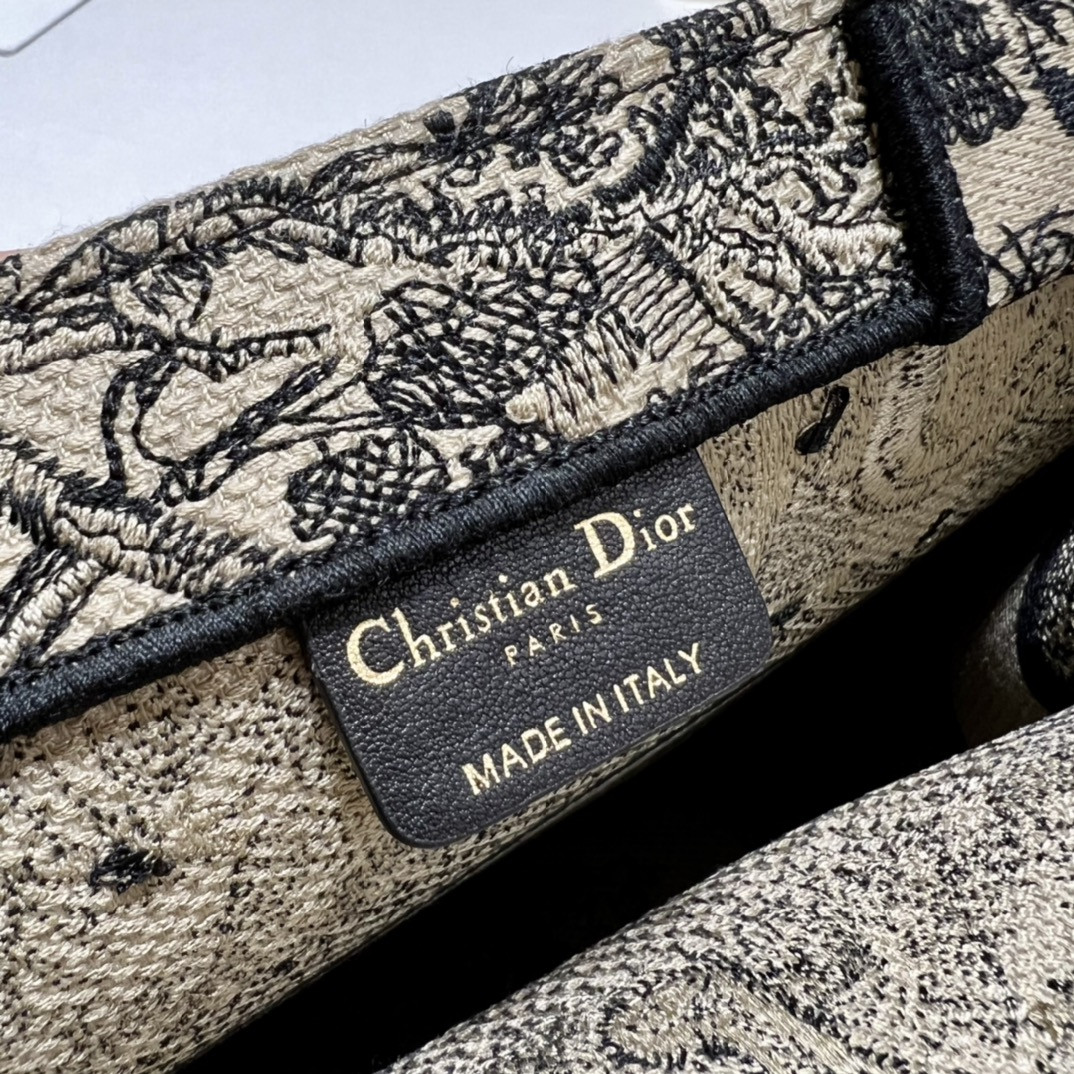 Small Dior Book Tote