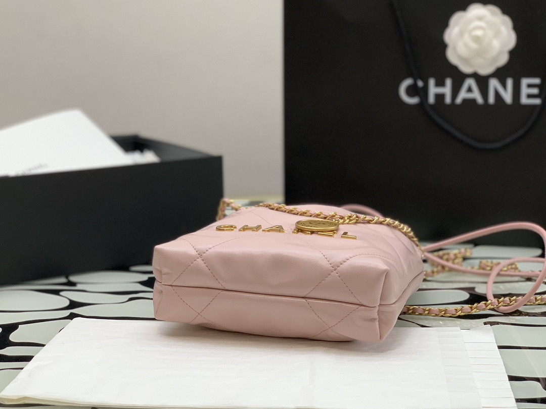 Chanle 22 Backpack Mini