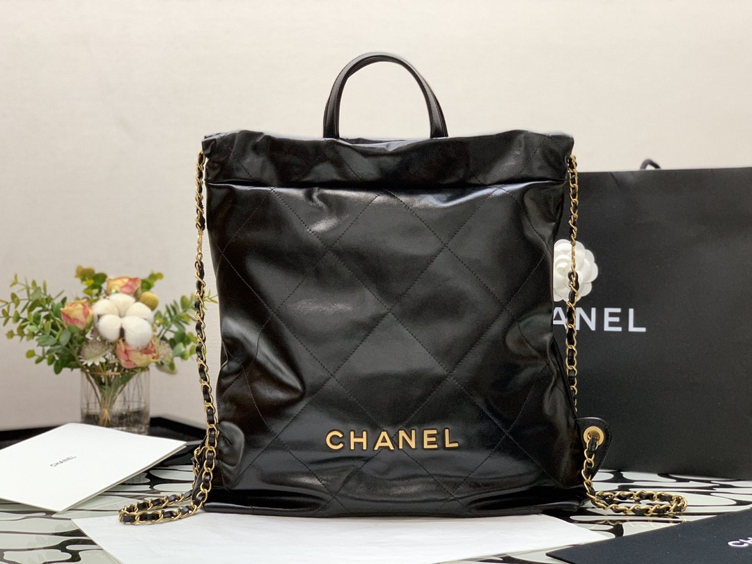 Chanle 22 Backpack