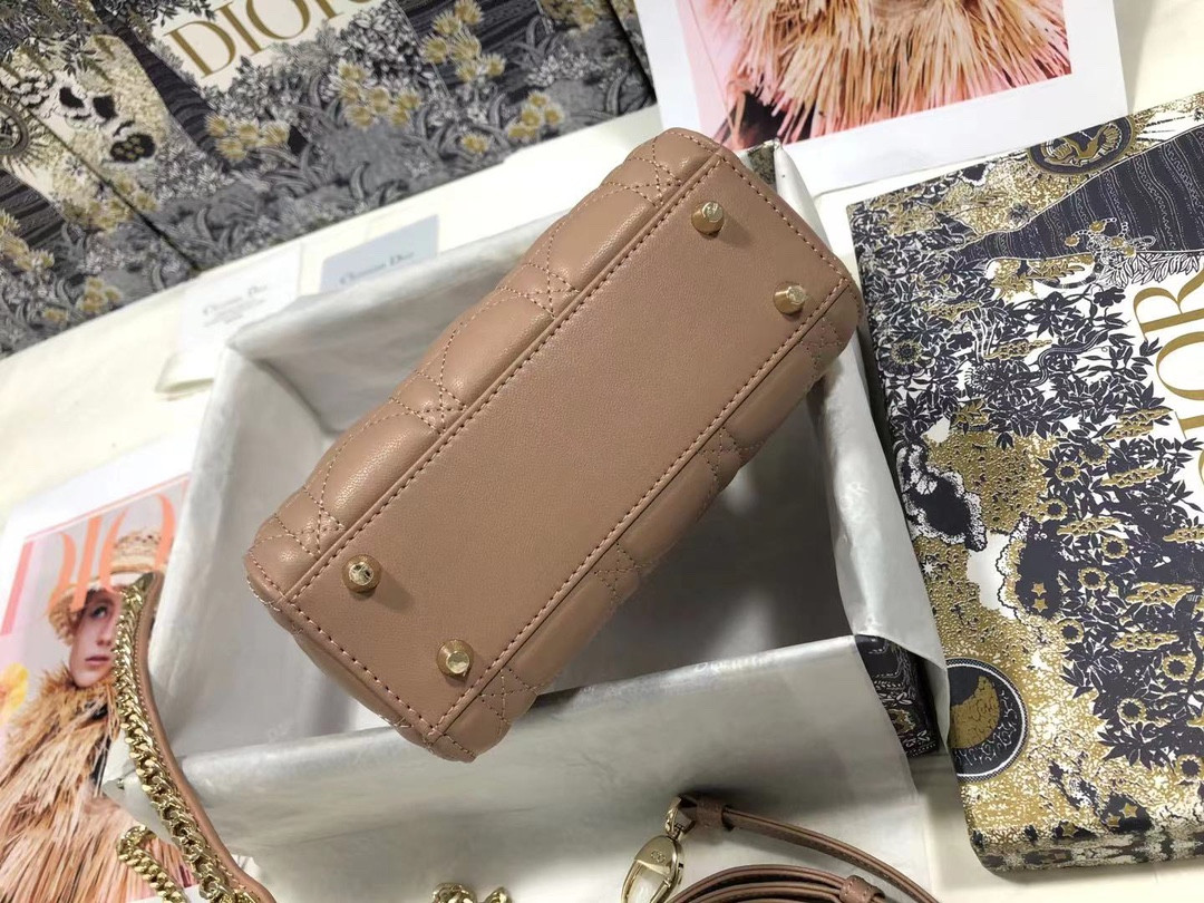 Mini Lady Dior Bag