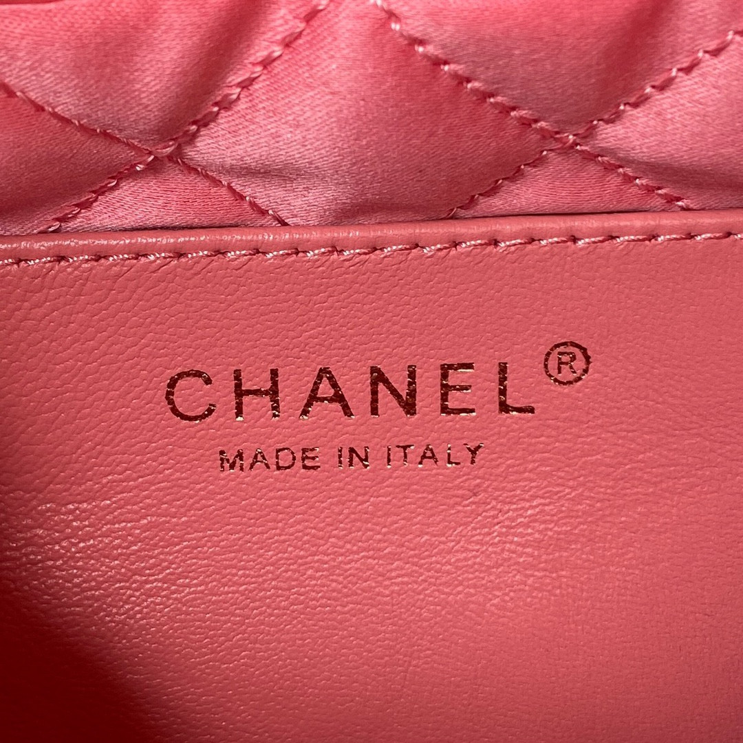 Chanle 22 Backpack Mini