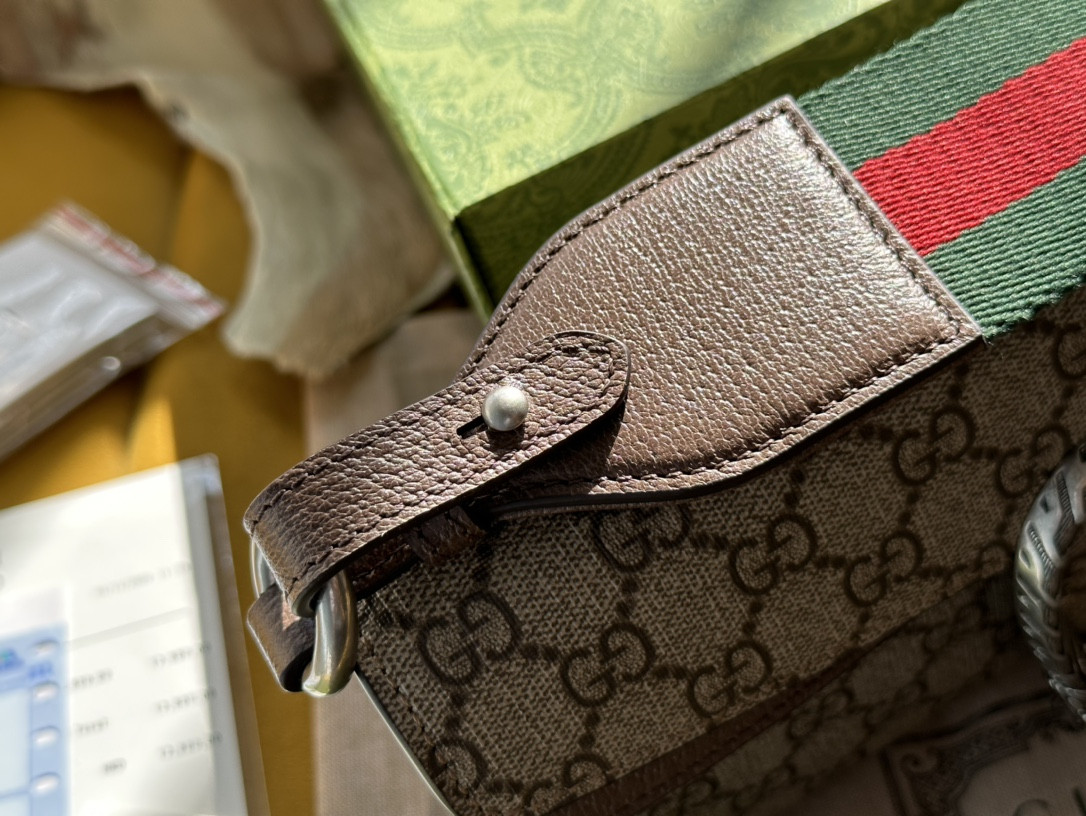 G*u*i dionysus bag