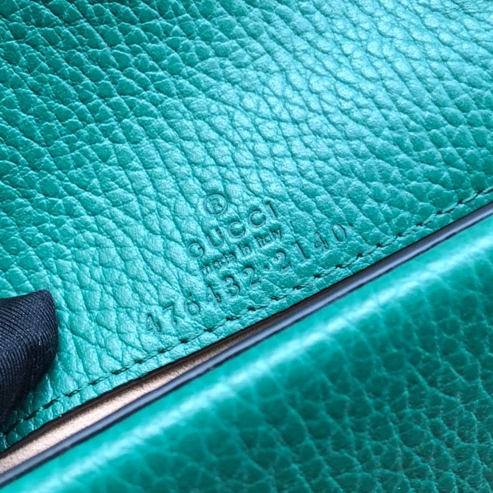 G*u*i dionysus bag