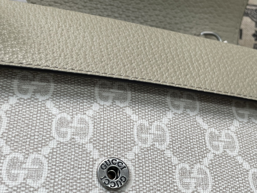 G*u*i dionysus bag
